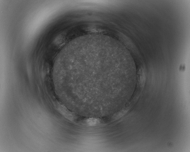 X0000113940762200910231943