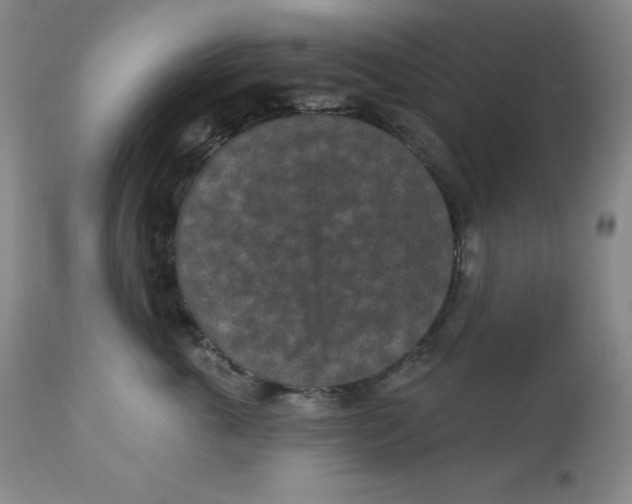 X0000113940763200910231944