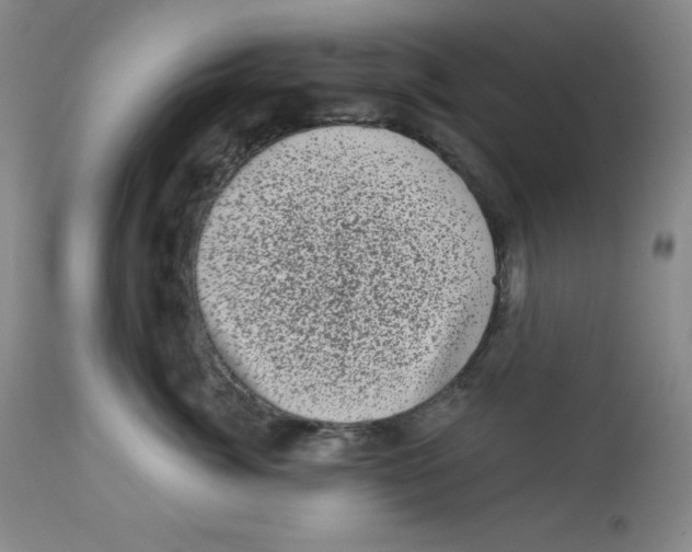 X0000113940764200910231944