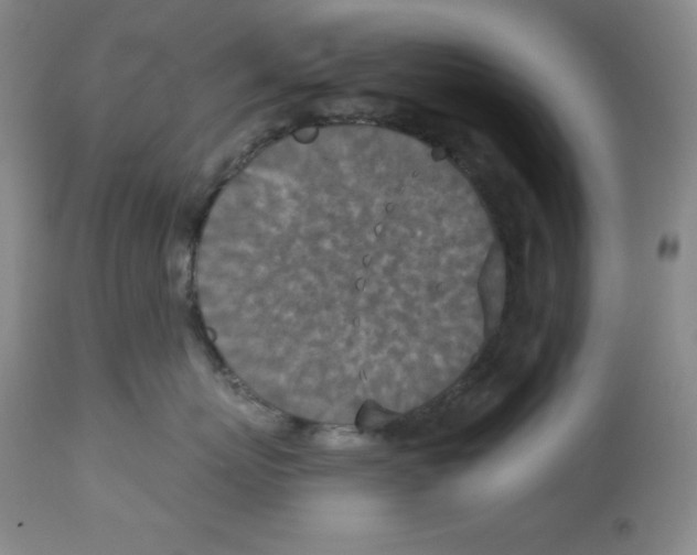 X0000113940767200910231944
