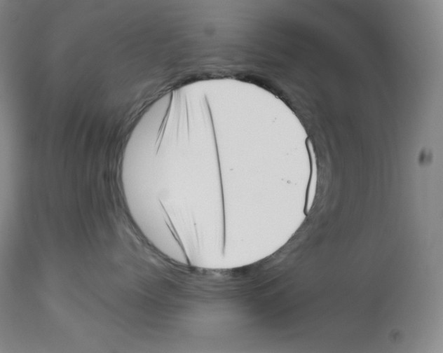X0000113940768200910231944