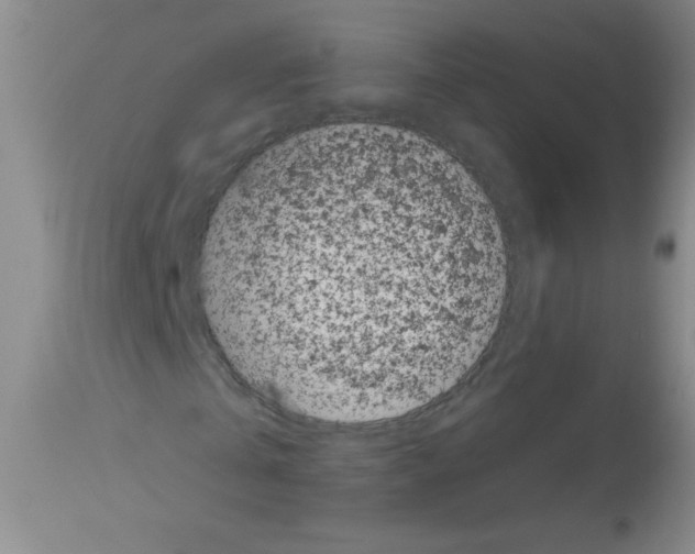 X0000113940769200910231943