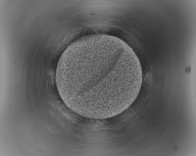 X0000113940772200910231943