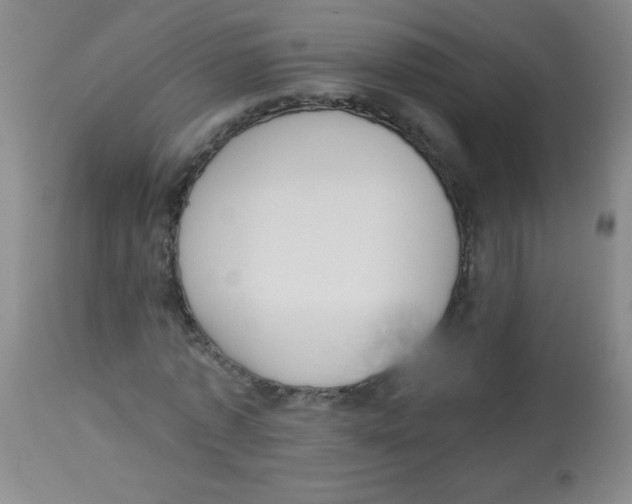 X0000113940773200910231943