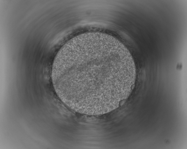 X0000113940774200910231943