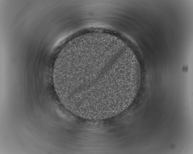 X0000113940775200910231943