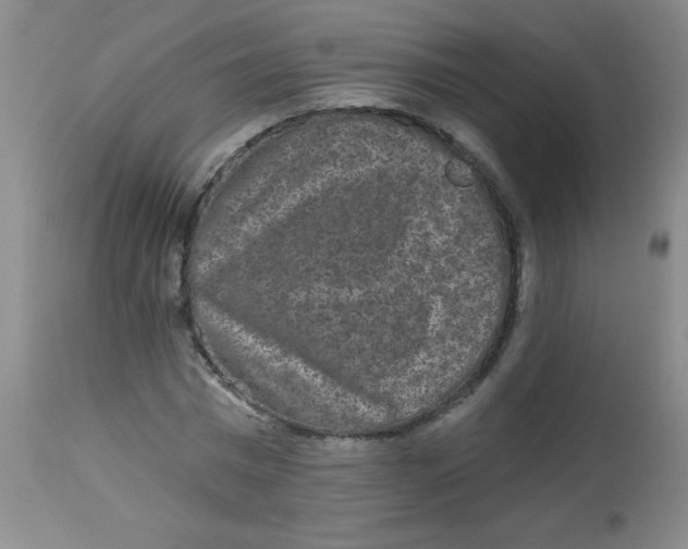 X0000113940777200910231943