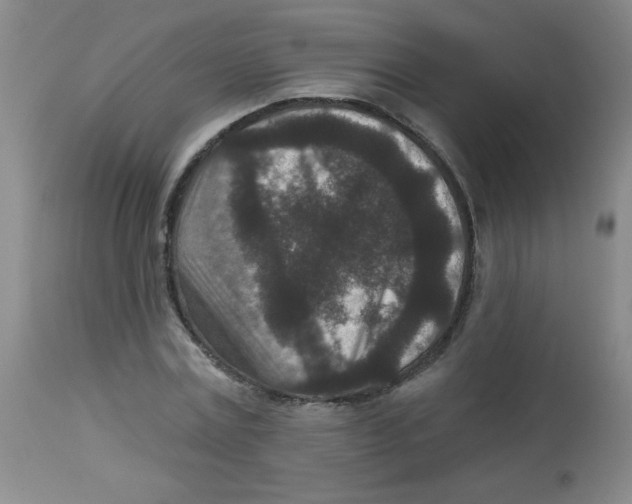 X0000113940779200910231943
