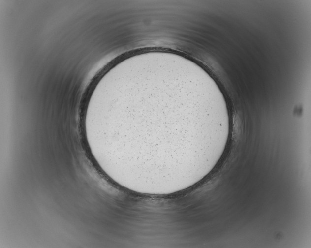 X0000113940780200910231943
