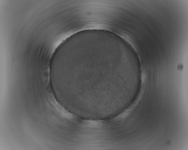 X0000113940781200910231943