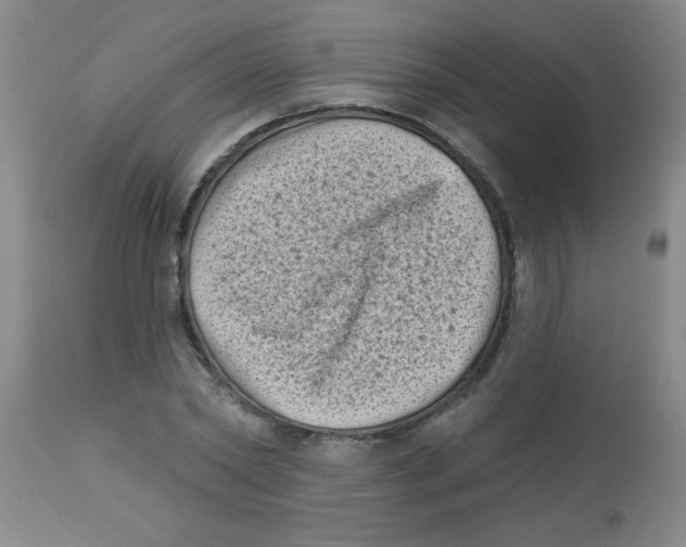 X0000113940782200910231943