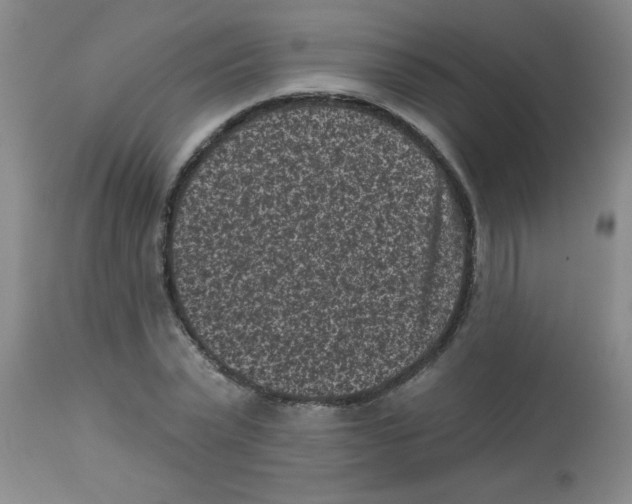 X0000113940783200910231943