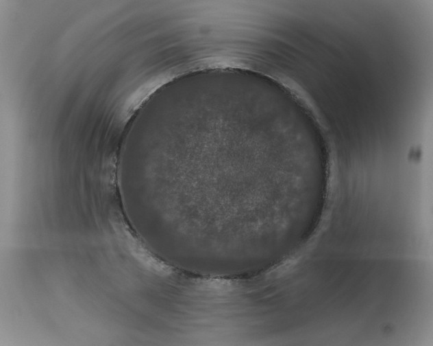 X0000113940785200910231943