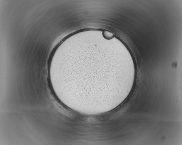 X0000113940787200910231943