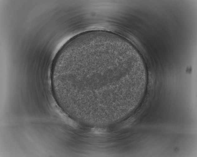 X0000113940788200910231943