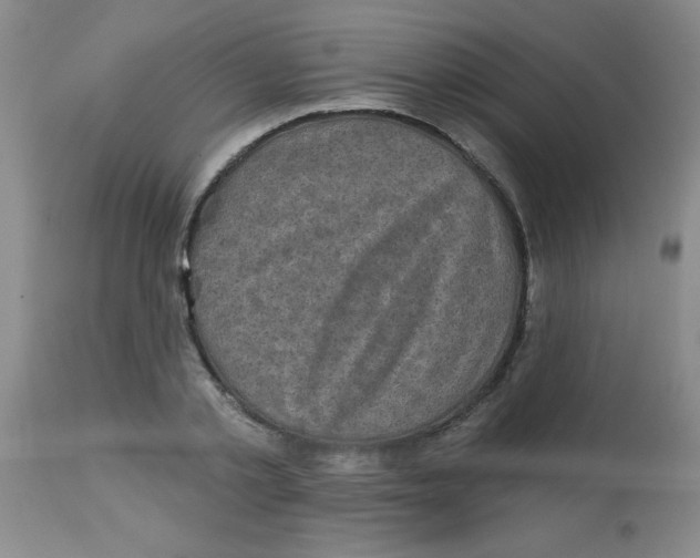 X0000113940789200910231943