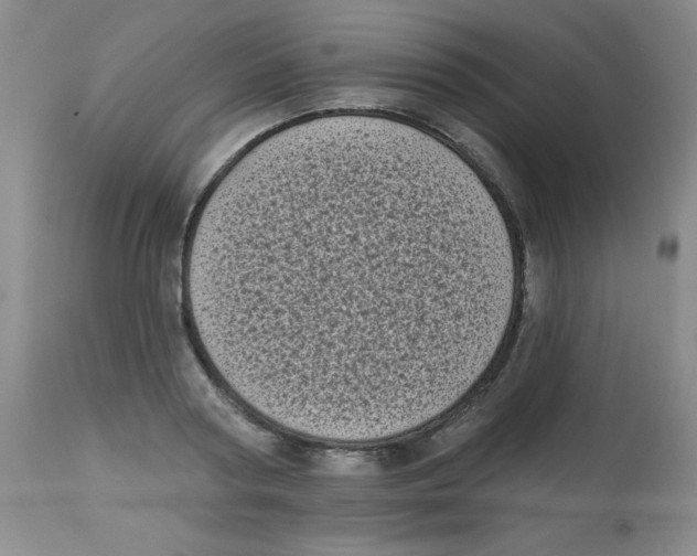 X0000113940794200910231943