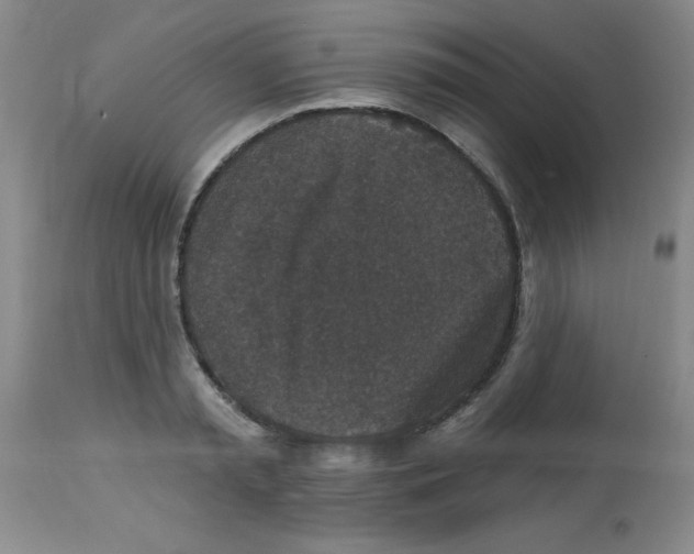 X0000113940797200910231943