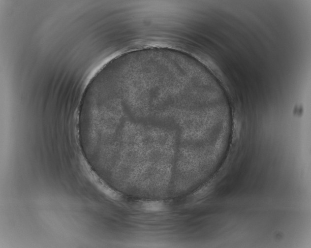 X0000113940798200910231943