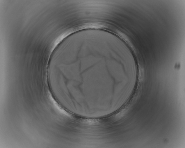 X0000113940802200910231942