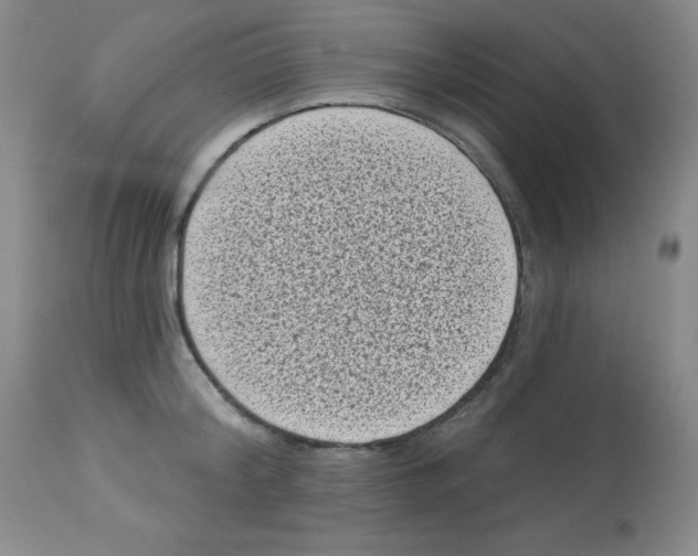 X0000113940804200910231942