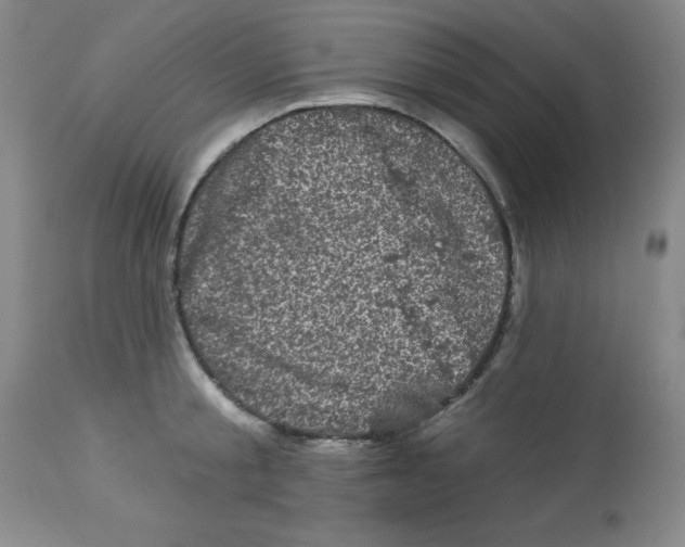 X0000113940805200910231942
