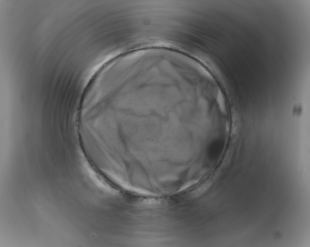 X0000113940806200910231942
