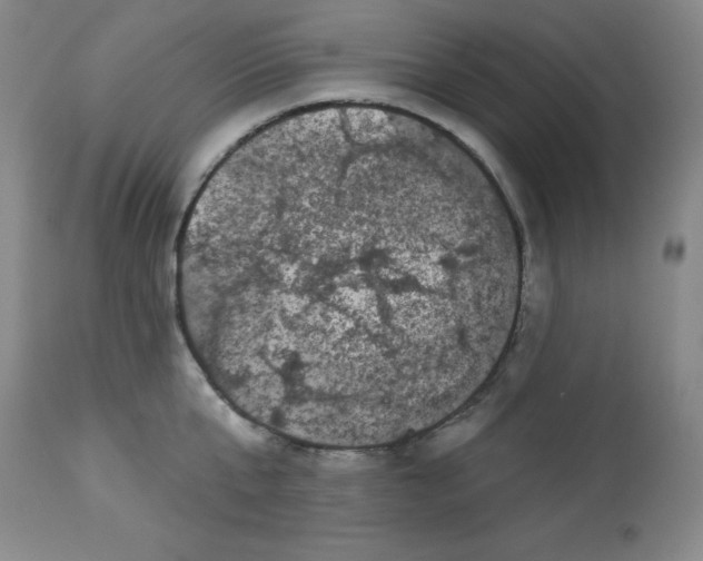 X0000113940807200910231942