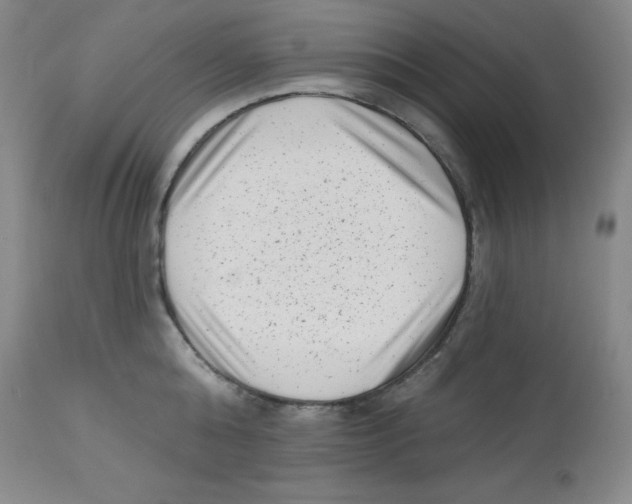 X0000113940808200910231942