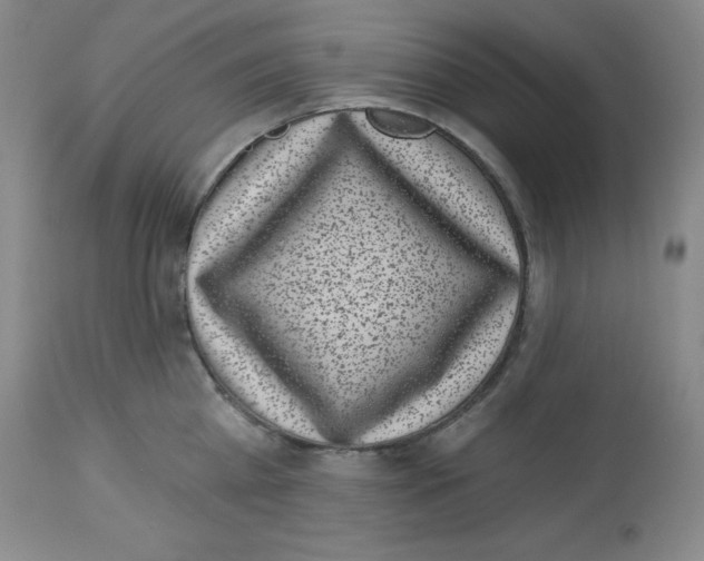 X0000113940809200910231942