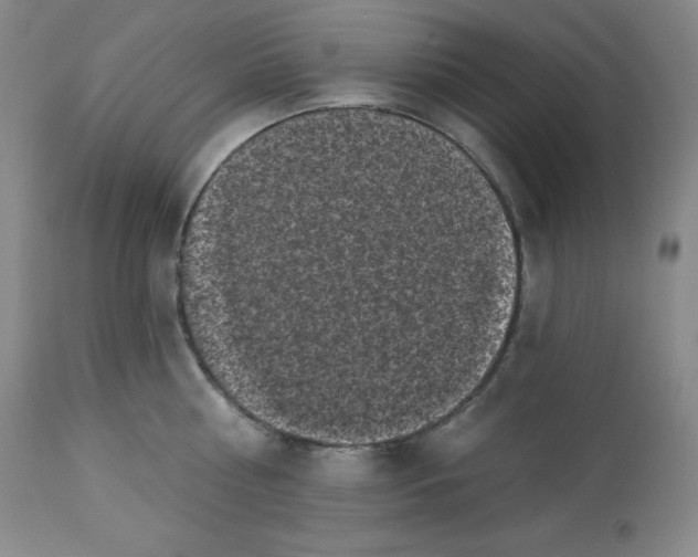 X0000113940810200910231942