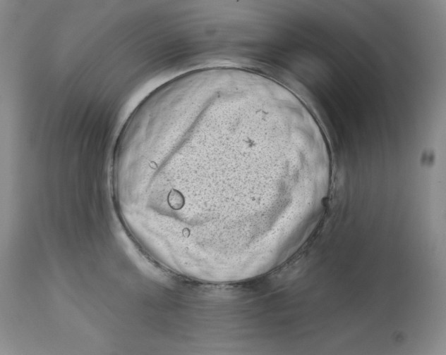 X0000113940811200910231942