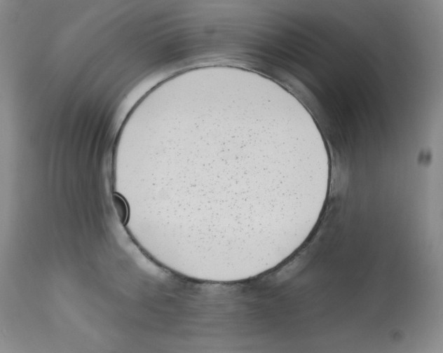 X0000113940812200910231942