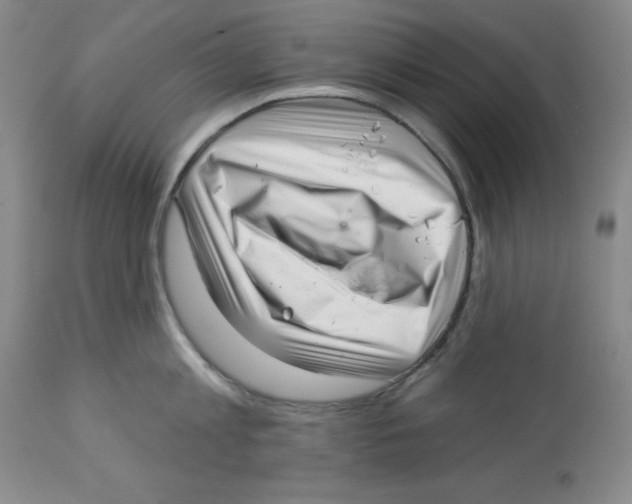 X0000113940813200910231942