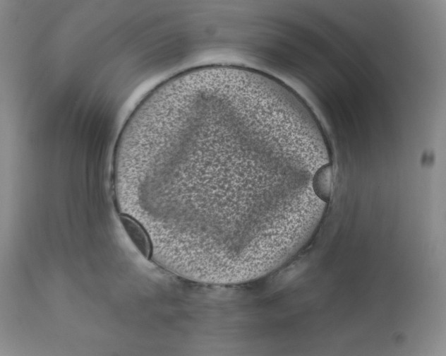 X0000113940815200910231942