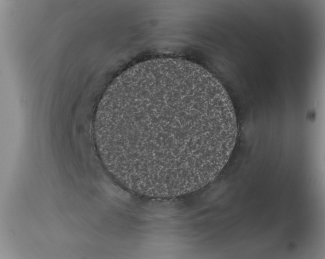 X0000113940817200910231942
