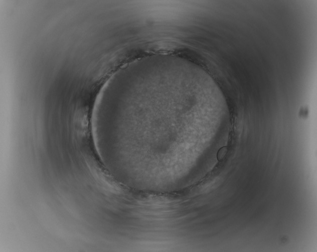X0000113940818200910231942