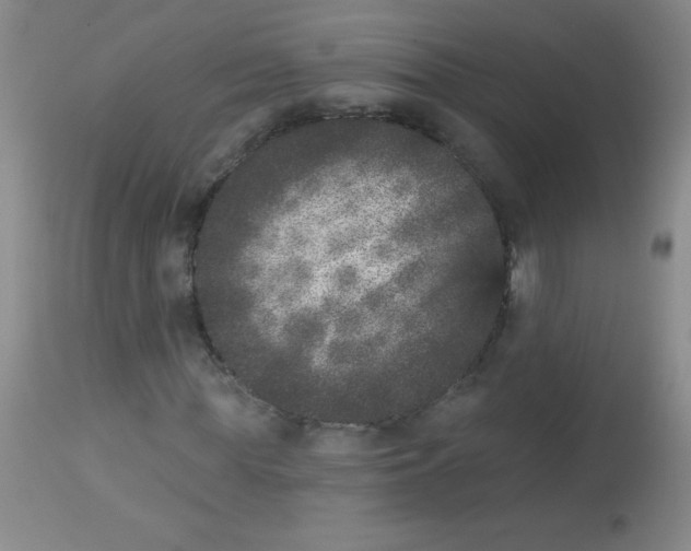 X0000113940819200910231942