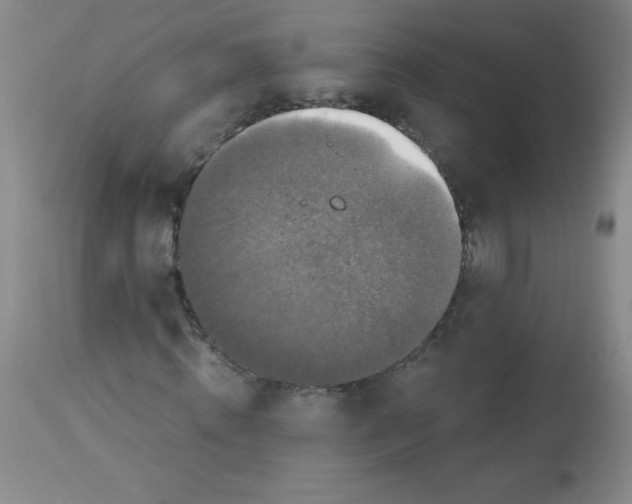X0000113940820200910231942