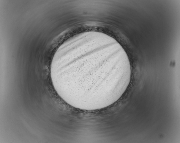 X0000113940821200910231942