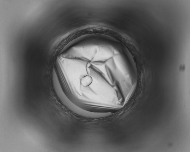 X0000113940822200910231942