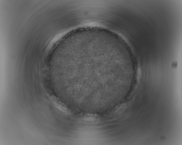 X0000113940823200910231942