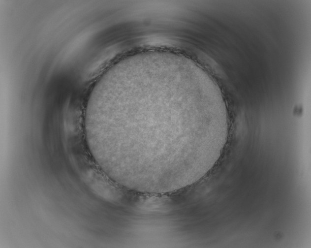 X0000113940824200910231942