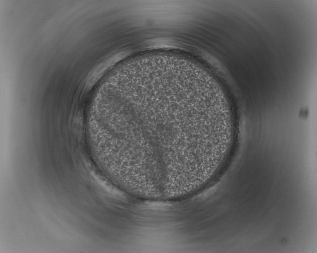 X0000113940825200910231942