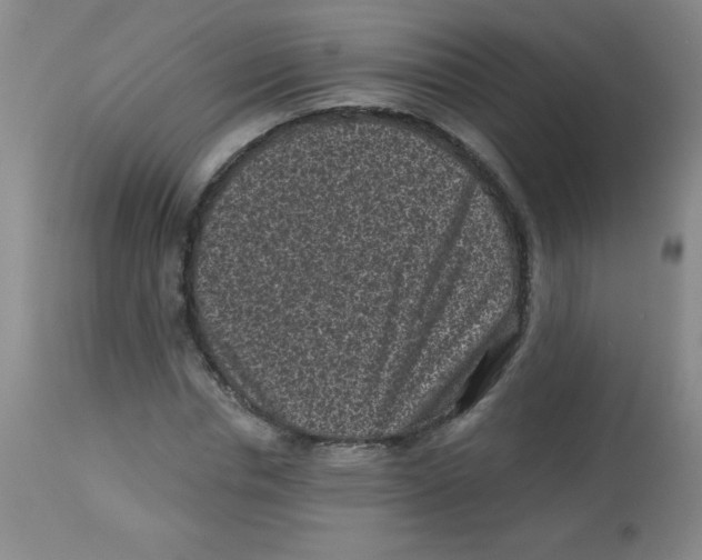 X0000113940826200910231942