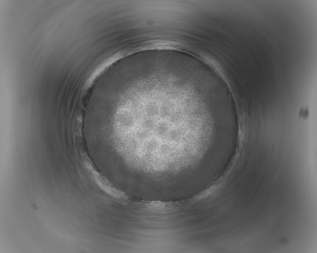 X0000113940827200910231942