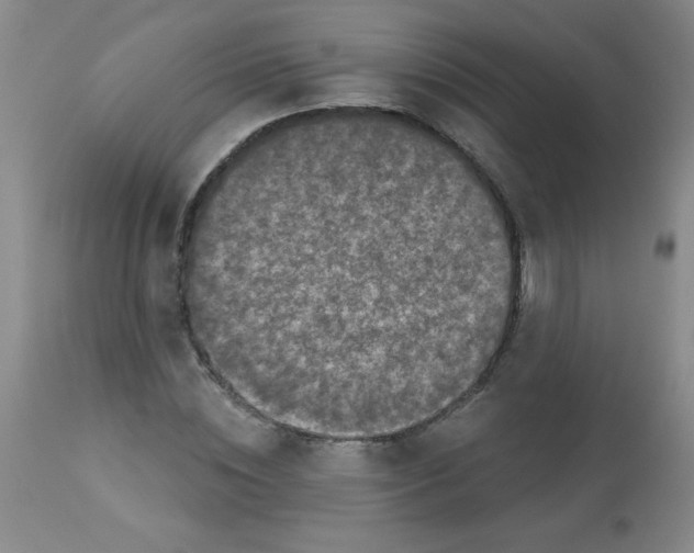 X0000113940828200910231942