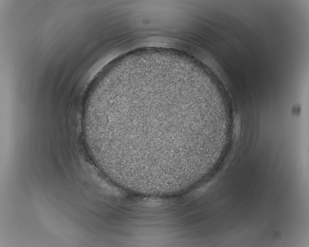 X0000113940829200910231942