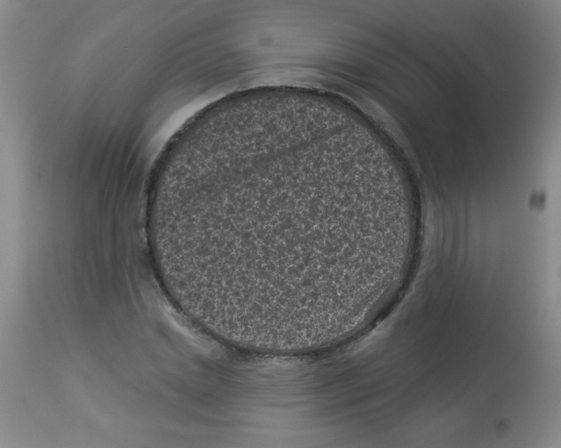 X0000113940830200910231942