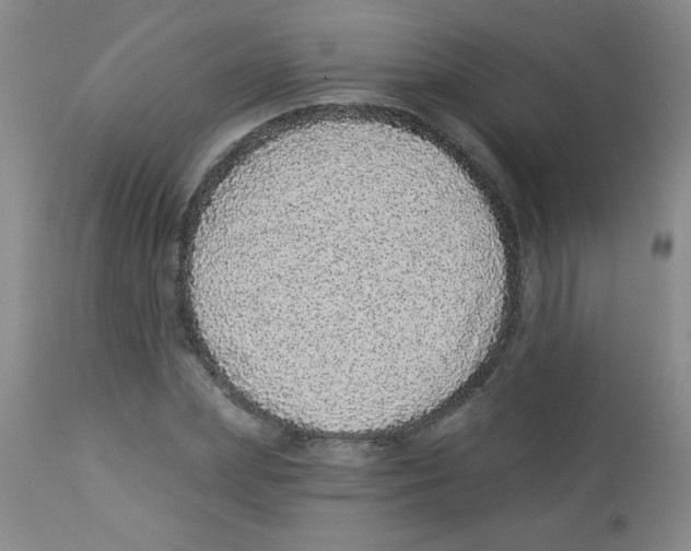 X0000113940831200910231942